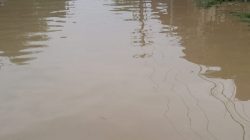 Babelan Diterjang Banjir Usai Hujan Menerpa Seharian